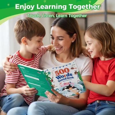 Interactive Educational Toy