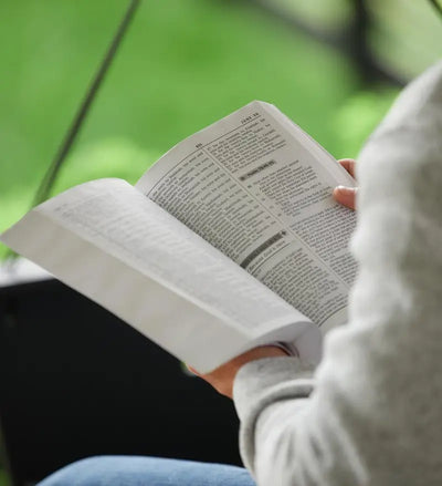 Life Principles Daily Bible
