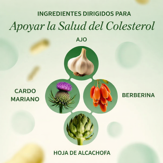 Salud del Colesterol