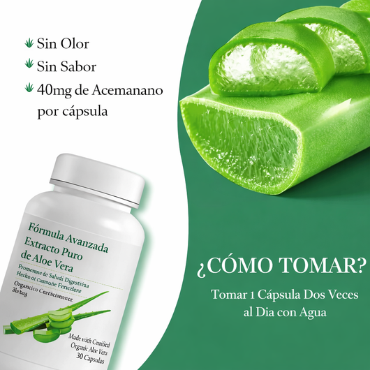 Cápsulas de Aloe Vera