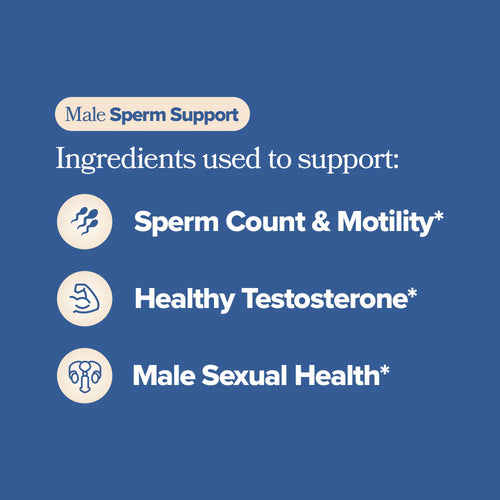 Male Sperm Health Support