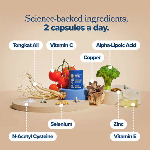 Male Sperm Health Support