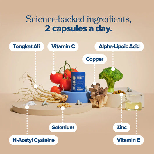 Male Sperm Health Support