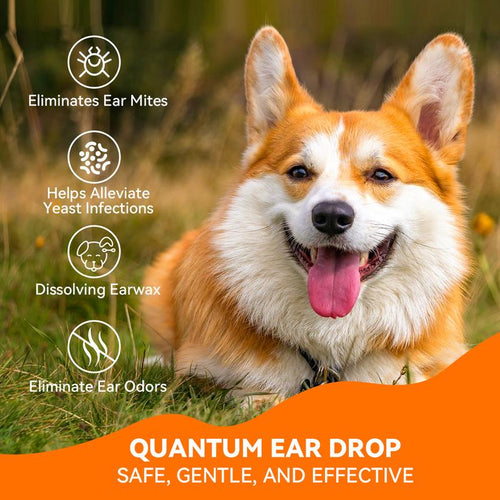 NanoPaw - Pure Relief for Cat & Dog Ears