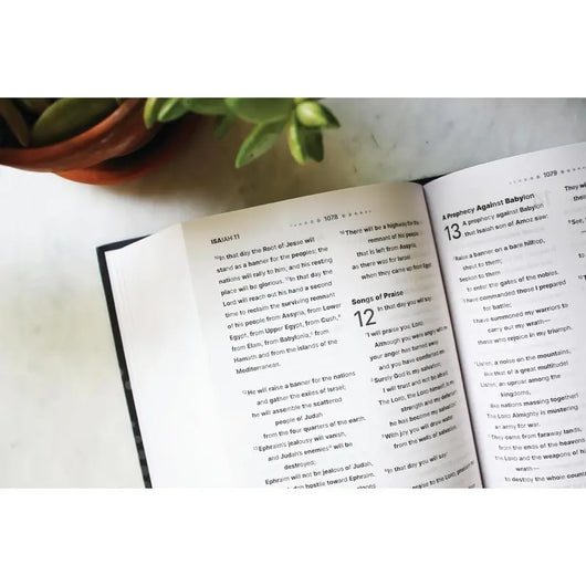 Clear Focus Bible